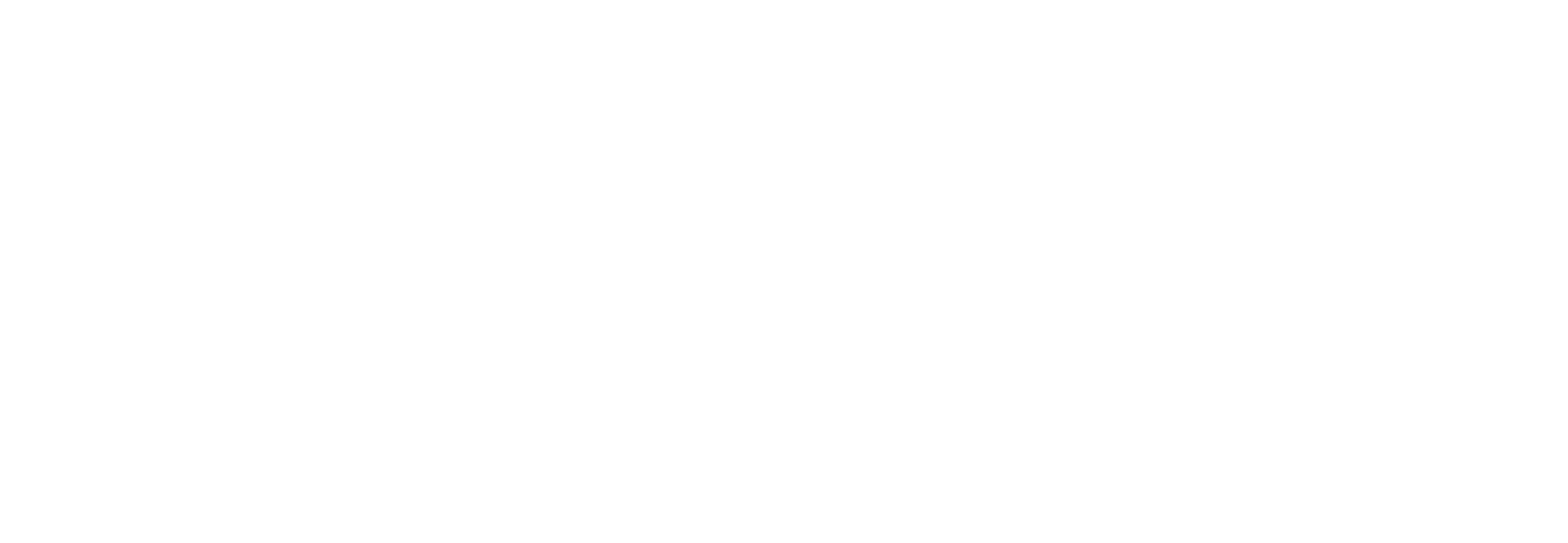 ikona_pzu_sport_WHITE-01.png